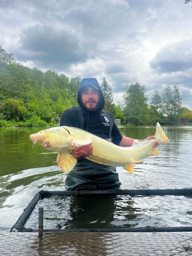 Homme tenant un gros poisson blanc dans l'eau, avec des arbres en arrière-plan.